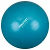 Avento Fitness/Gym Ball Dia. 55 cm Blue
