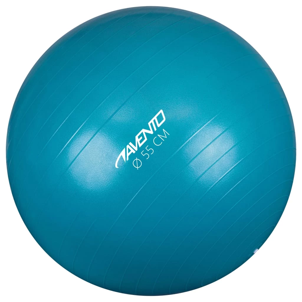 Avento Fitness/Gym Ball Dia. 55 cm Blue 3 Avento Fitness/Gym Ball Dia. 55 cm Blue