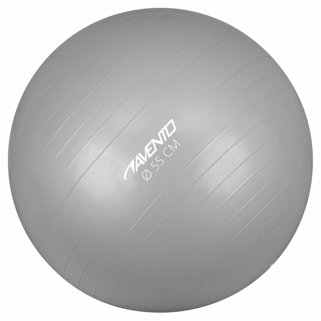 Avento Fitness/Gym Ball Dia. 55 cm Silver 3 Avento Fitness/Gym Ball Dia. 55 cm Silver