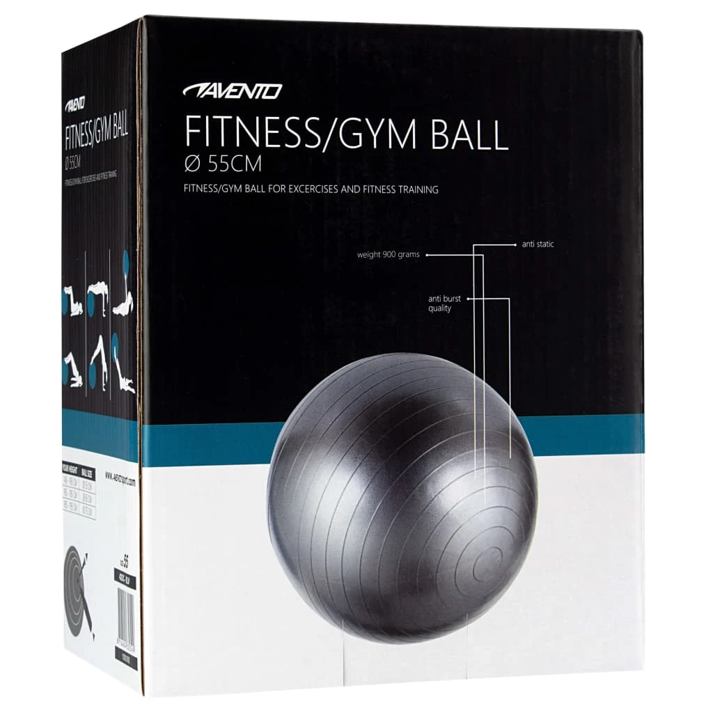 Avento Fitness/Gym Ball Dia. 55 cm Silver 6 Avento Fitness/Gym Ball Dia. 55 cm Silver - Image 4