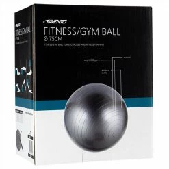 Avento Fitness/Gym Ball Dia. 75 cm Silver -Sports Shop Avento Fitness Gym Ball Dia 75 cm Silver 486128 3