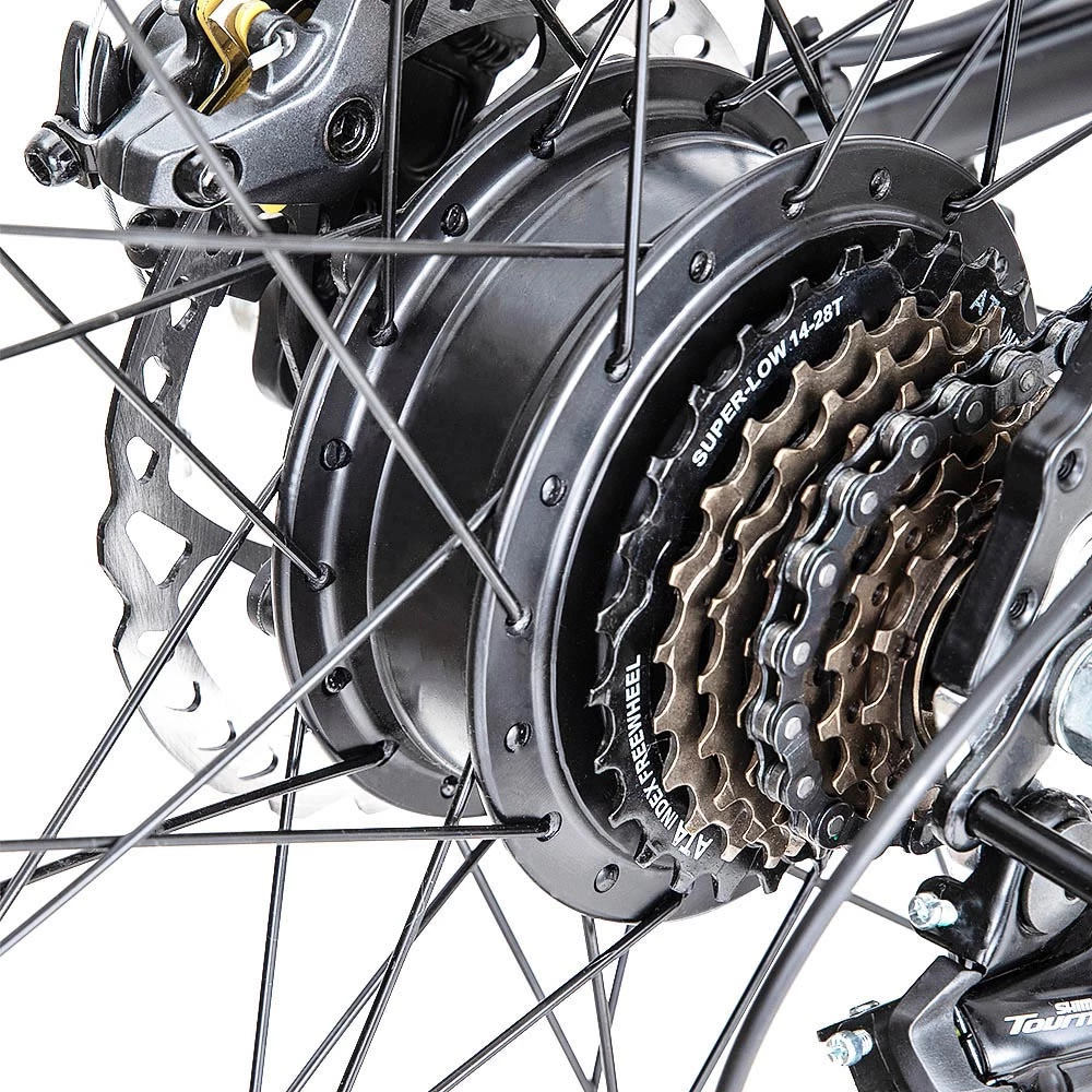 FAFREES Hailong One 26 Inch Electric Bike 250W Powerful Motor with 36V 10Ah Lithium-ion Battery SHIMANO 21 Speed - Black 7 FAFREES Hailong One 26 Inch Electric Bike 250W Powerful Motor with 36V 10Ah Lithium-ion Battery SHIMANO 21 Speed - Black - Image 5