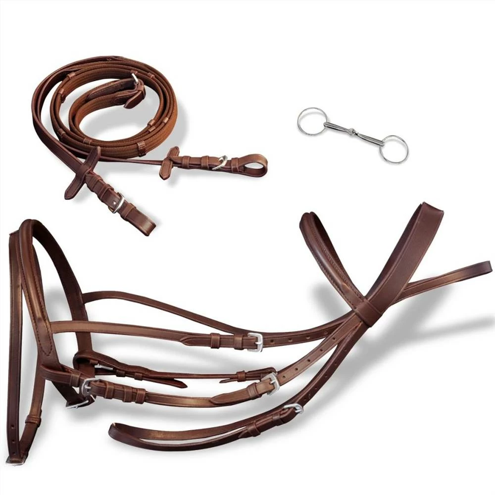Leather Flash Bridle with Reins and Bit Brown Full 3 Leather Flash Bridle with Reins and Bit Brown Full