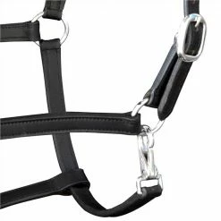 Real Leather Headcollar Stable Halter Adjustable Black Cob -Sports Shop Real Leather Headcollar Stable Halter Adjustable Black Cob 489746 2