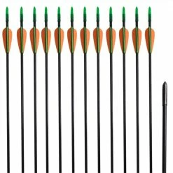 Standard Recurve Bow Arrows 30" 0.6 cm Fiberglass 12 pcs