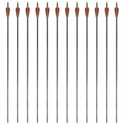 Standard Recurve Bow Arrows 30" 0.76 cm Carbon 12 pcs -Sports Shop Standard Recurve Bow Arrows 30 0 76 cm Carbon 12 pcs 456848 3