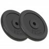 Weight Plates 2 pcs 30 kg Cast Iron