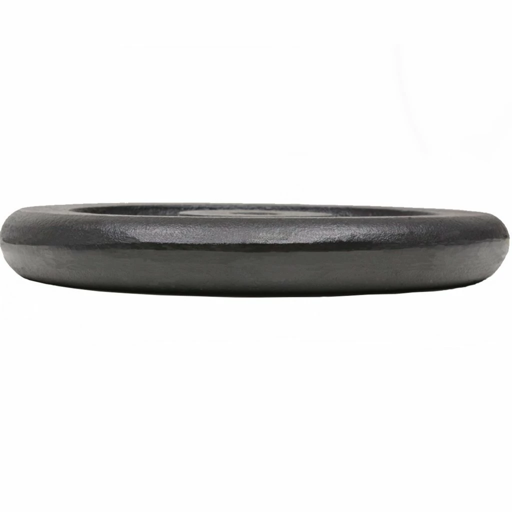 Weight Plates 2 pcs 30 kg Cast Iron 6 Weight Plates 2 pcs 30 kg Cast Iron - Image 4