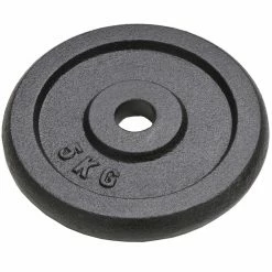 Weight Plates 4 pcs 20 kg Cast Iron -Sports Shop Weight Plates 4 pcs 20 kg Cast Iron 432549 1